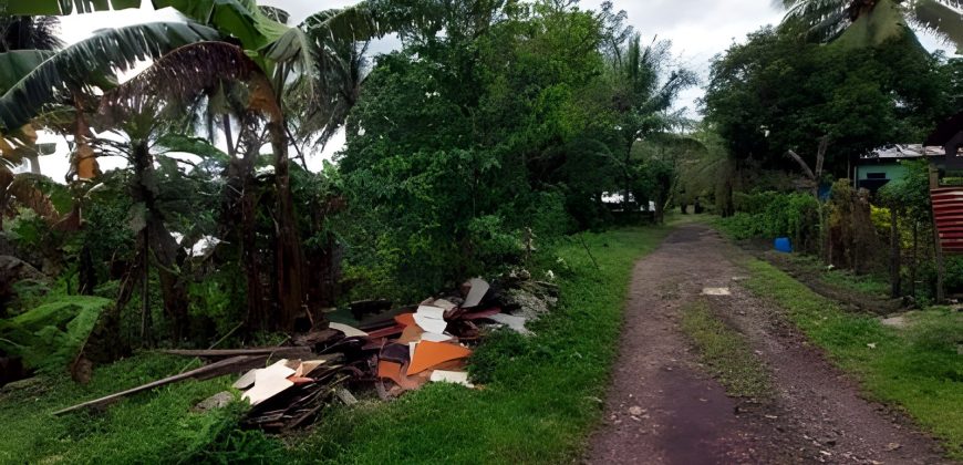 Foreclosed Residential Lot in Daraga, Albay