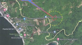 Foreclosed Agricultural Lot in Morong, Bataan (Philippine Veterans Bank)