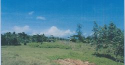 Foreclosed Residential Lot in Daraga (Locsin), Albay · Blk 7 (Philippine Veterans Bank) #17