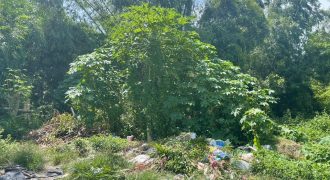 Foreclosed Residential Lot in Naic, Cavite