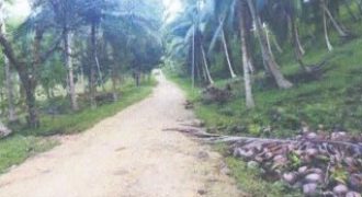 Foreclosed Residential Lot in Guinayangan, Quezon (Philippine Veterans Bank) #7
