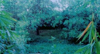 Foreclosed Residential Lot in San Jose, Occidental Mindoro