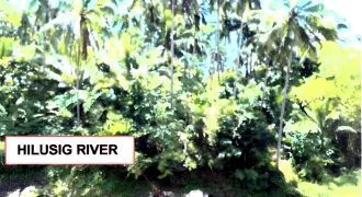 Foreclosed Agricultural Lot in Mahaplag, Leyte