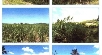 Foreclosed Agricultural Lot in Escalante, Negros Occidental (Philippine Veterans Bank)