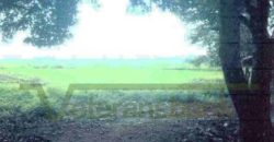 Foreclosed Residential Lot in San Jose, Occidental Mindoro · Lot 2-H-5-D-2-A-4 (Philippine Veterans Bank)