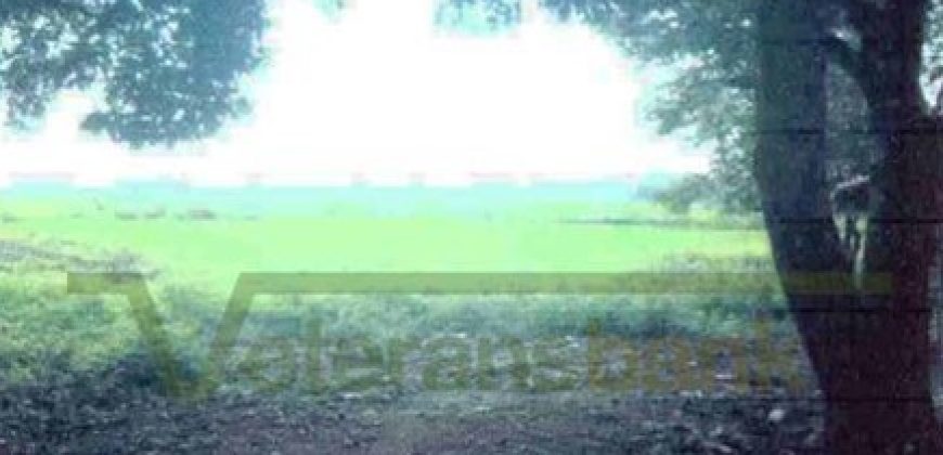 Foreclosed Residential Lot in San Jose, Occidental Mindoro · Lot 2-H-5-D-2-A-4 (Philippine Veterans Bank)
