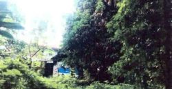 Foreclosed Residential Lot in San Jose, Occidental Mindoro · Blk 20 (Philippine Veterans Bank) #2