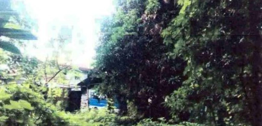 Foreclosed Residential Lot in San Jose, Occidental Mindoro · Blk 20 (Philippine Veterans Bank) #2