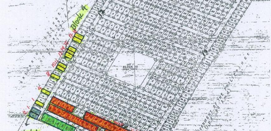 Foreclosed Residential Lot in Rodriguez (Montalban), Rizal · Lot 9 Blk. 2 (PDIC)