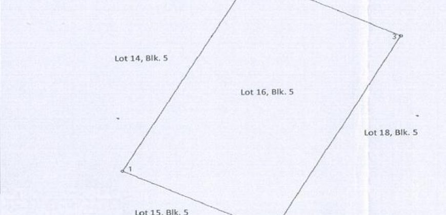 Foreclosed Residential Lot in Rodriguez (Montalban), Rizal · Lot 15 Blk. 5 (PDIC)