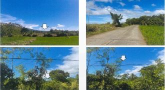 Foreclosed Agricultural Lot in Ocampo, Camarines Sur (PDIC)