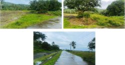 Foreclosed Agricultural Lot in Calabanga, Camarines Sur · Lot 20711 (PDIC)