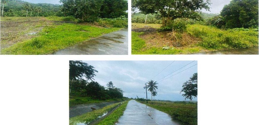 Foreclosed Agricultural Lot in Calabanga, Camarines Sur · Lot 20711 (PDIC)