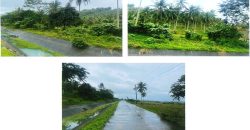 Foreclosed Agricultural Lot in Calabanga, Camarines Sur (PDIC)