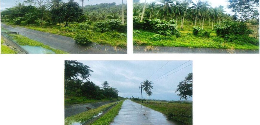Foreclosed Agricultural Lot in Calabanga, Camarines Sur (PDIC)