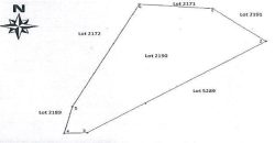 Foreclosed Agricultural Lot in Sto Domingo, Albay (PDIC)