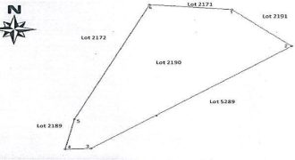 Foreclosed Agricultural Lot in Sto Domingo, Albay (PDIC)