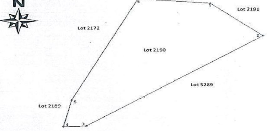 Foreclosed Agricultural Lot in Sto Domingo, Albay (PDIC)
