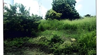 Foreclosed Residential Lot in Antipolo City