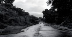 Foreclosed Residential Lot in Laurel, Batangas