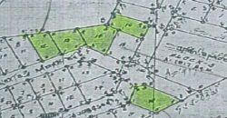 Foreclosed Property in Mercedes, Camarines Norte – Vivar Village · Lot 14 Block 8 (PDIC)