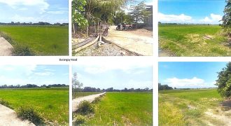 Foreclosed Agricultural Lot in Mangatarem, Pangasinan (PDIC)
