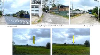 Foreclosed Agricultural Lot in Baras, Rizal (PDIC)