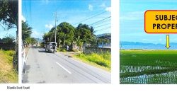 Foreclosed Agricultural Lot in Pililla, Rizal (PDIC)