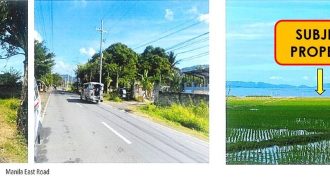 Foreclosed Agricultural Lot in Pililla, Rizal (PDIC)