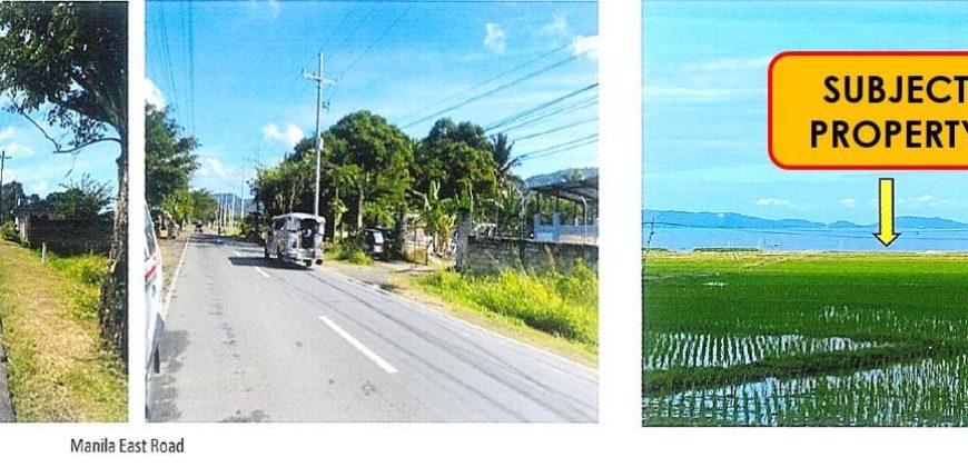 Foreclosed Agricultural Lot in Pililla, Rizal (PDIC)