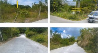 Foreclosed Residential Lot in Morong, Rizal (PDIC)
