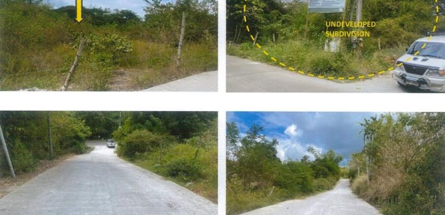 Foreclosed Residential Lot in Morong, Rizal, Luzon