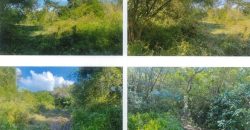 Foreclosed Residential Lot in Pililla, Rizal (PDIC)