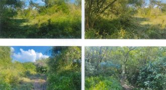 Foreclosed Residential Lot in Pililla, Rizal (PDIC)