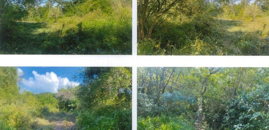 Foreclosed Residential Lot in Pililla, Rizal (PDIC)
