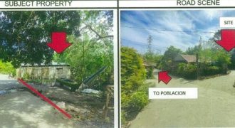 Foreclosed Residential Lot in Sta Fe, Romblon (PDIC)