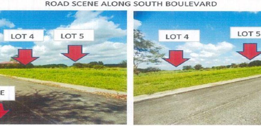 Foreclosed Residential Lot in General Trias City, Cavite, Luzon #60