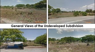 Foreclosed Residential Lot in Candelaria, Quezon