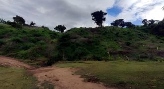Foreclosed Agricultural Lot in Gonzaga, Cagayan