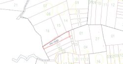 Foreclosed Agricultural Lot in Batangas (PDIC)