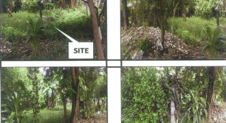Foreclosed Residential Lot in Batangas · Lot 6 (PDIC)