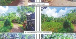 Foreclosed Residential Lot in San Pablo City, Laguna · Lot 7 Blk. 1 (PDIC)