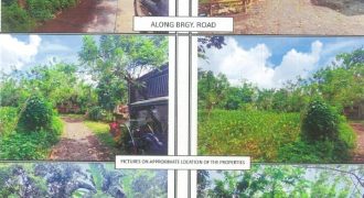 Foreclosed Residential Lot in San Pablo City