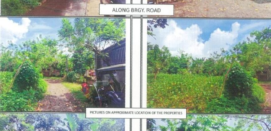 Foreclosed Residential Lot in San Pablo City, Laguna · Lot 7 Blk. 1 (PDIC)