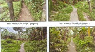 Foreclosed Residential Lot in Legazpi City, Albay (PDIC)