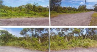 Foreclosed Agricultural Lot in Sto Domingo, Albay · Lot 5372 (PDIC)