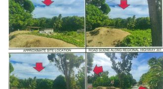 Foreclosed Agricultural Lot in Sta Fe, Romblon (PDIC)