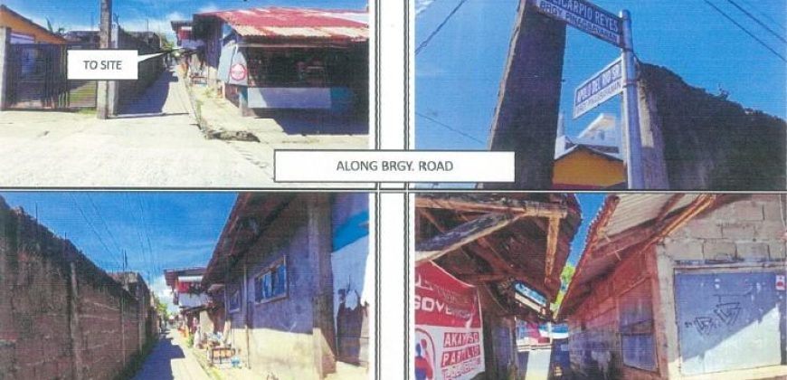 Foreclosed Property in Pila, Laguna, Luzon #2