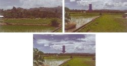 Foreclosed Agricultural Lot in Guindulman, Bohol · Lot 267 (PDIC)