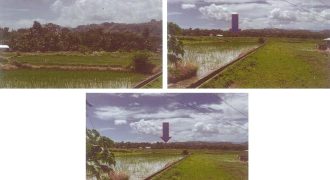 Foreclosed Agricultural Lot in Guindulman, Bohol · Lot 267 (PDIC)